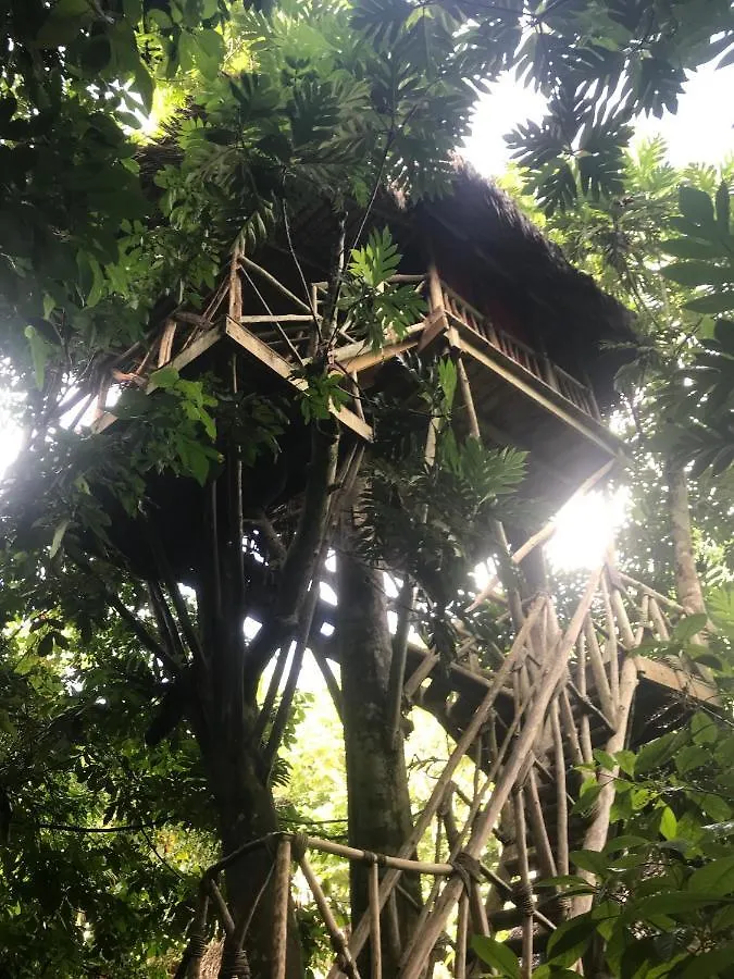 Resort Dominican Tree House Village El Valle
