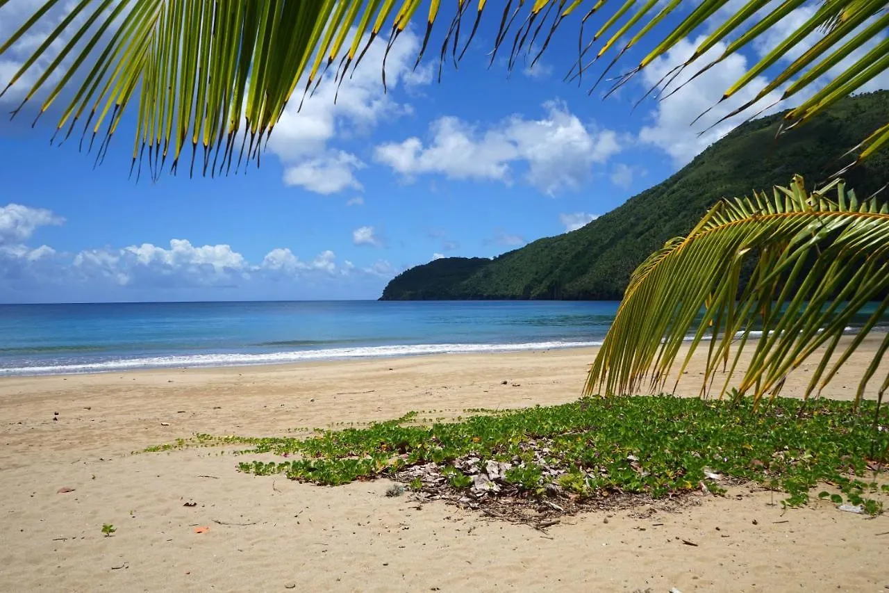 Dominican Tree House Village El Valle Resort