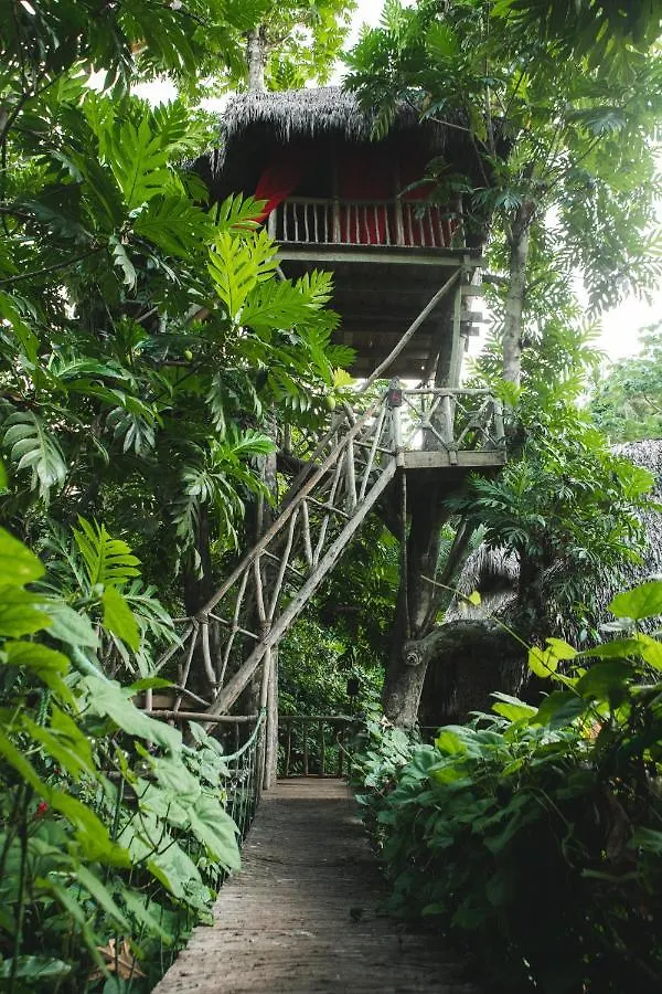 Dominican Tree House Village El Valle Resort