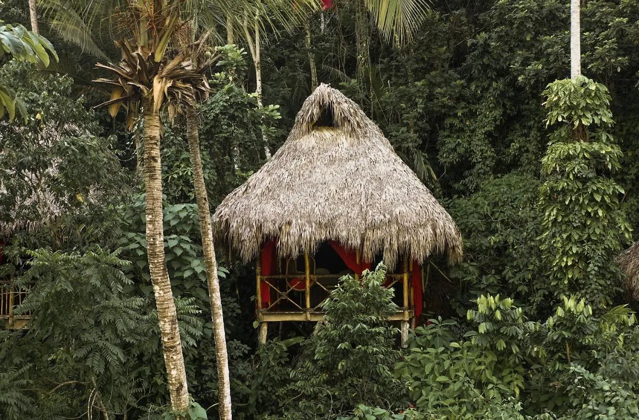 Dominican Tree House Village El Valle 2*,