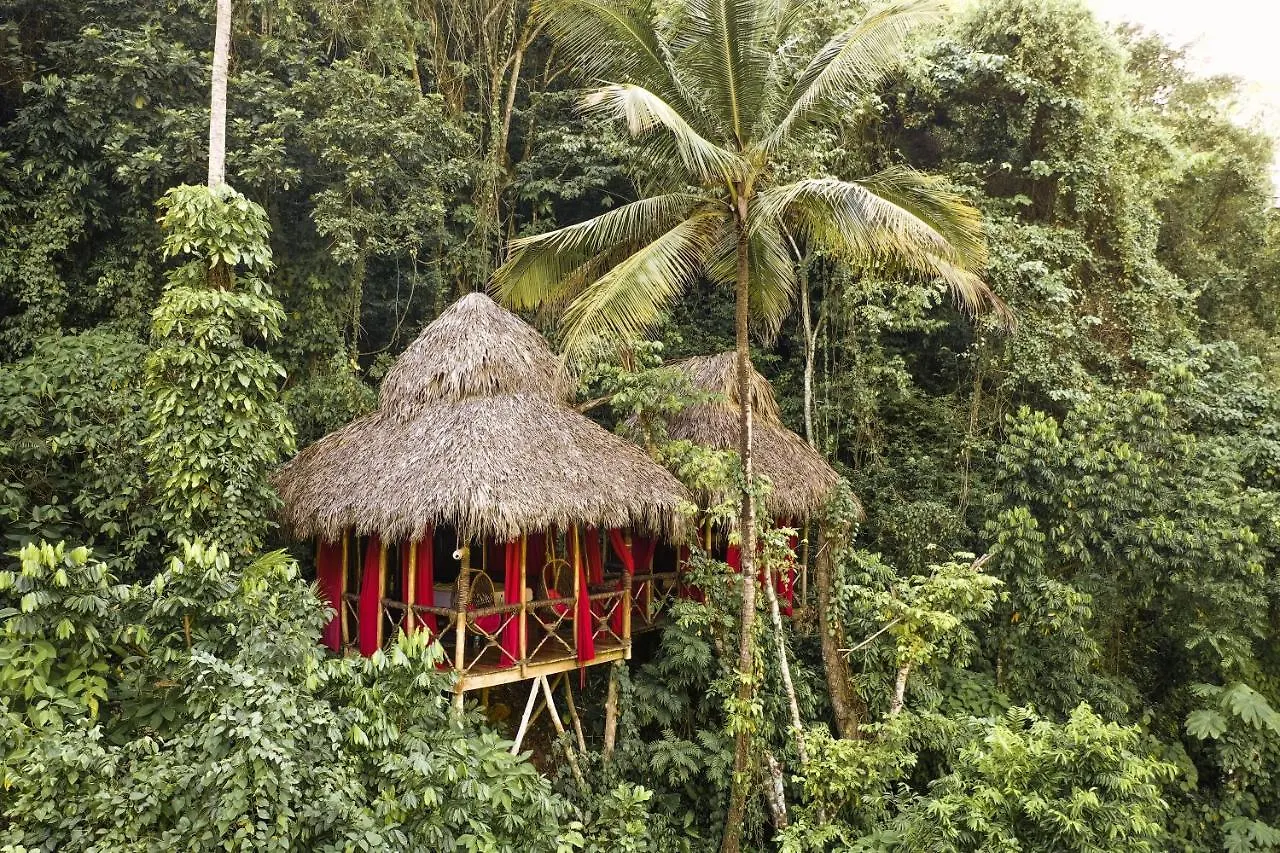 Dominican Tree House Village El Valle 2*,
