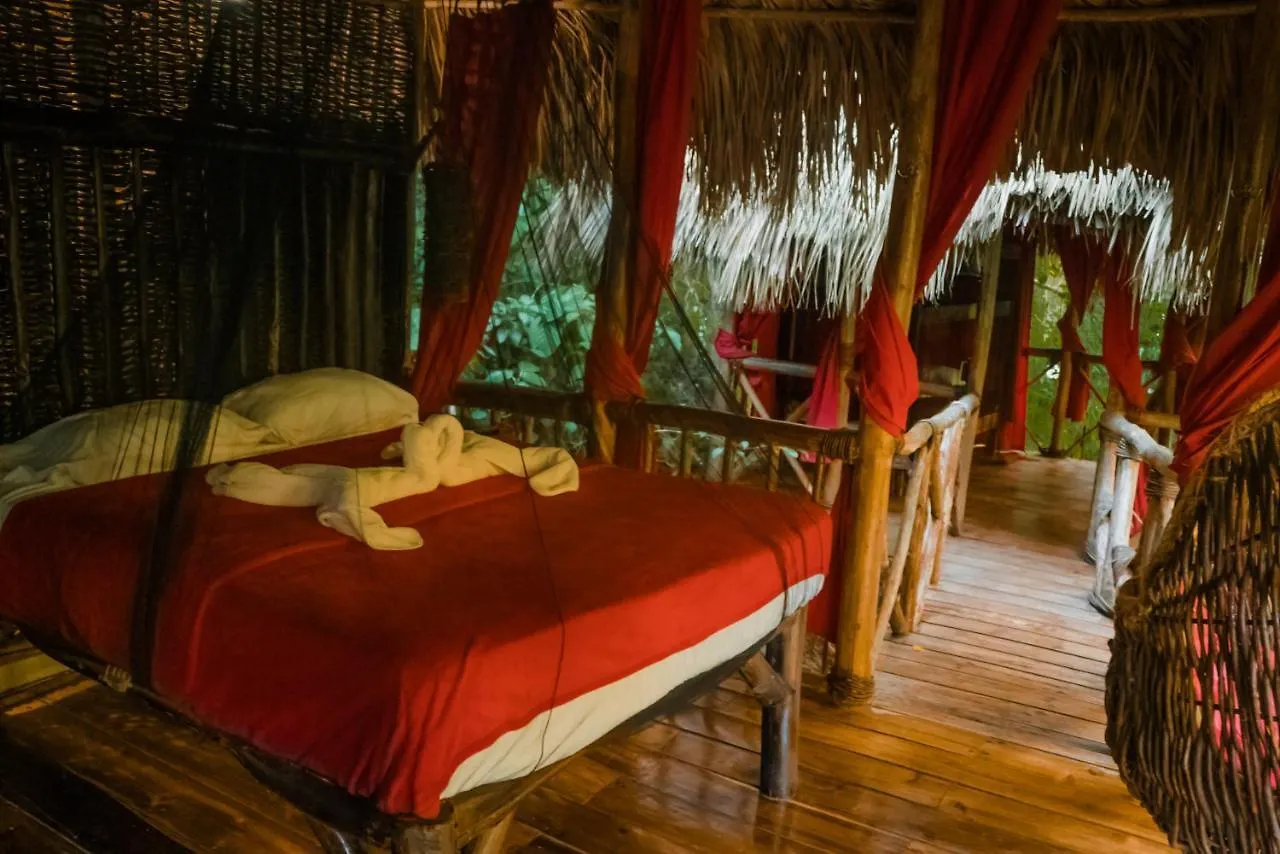 Resort Dominican Tree House Village El Valle
